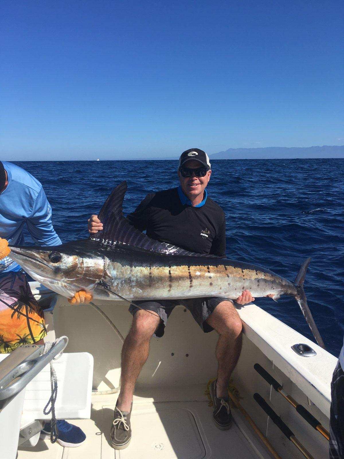 Striped Marlin Fish Mounts & Replicas by Coast-to-Coast Fish Mounts